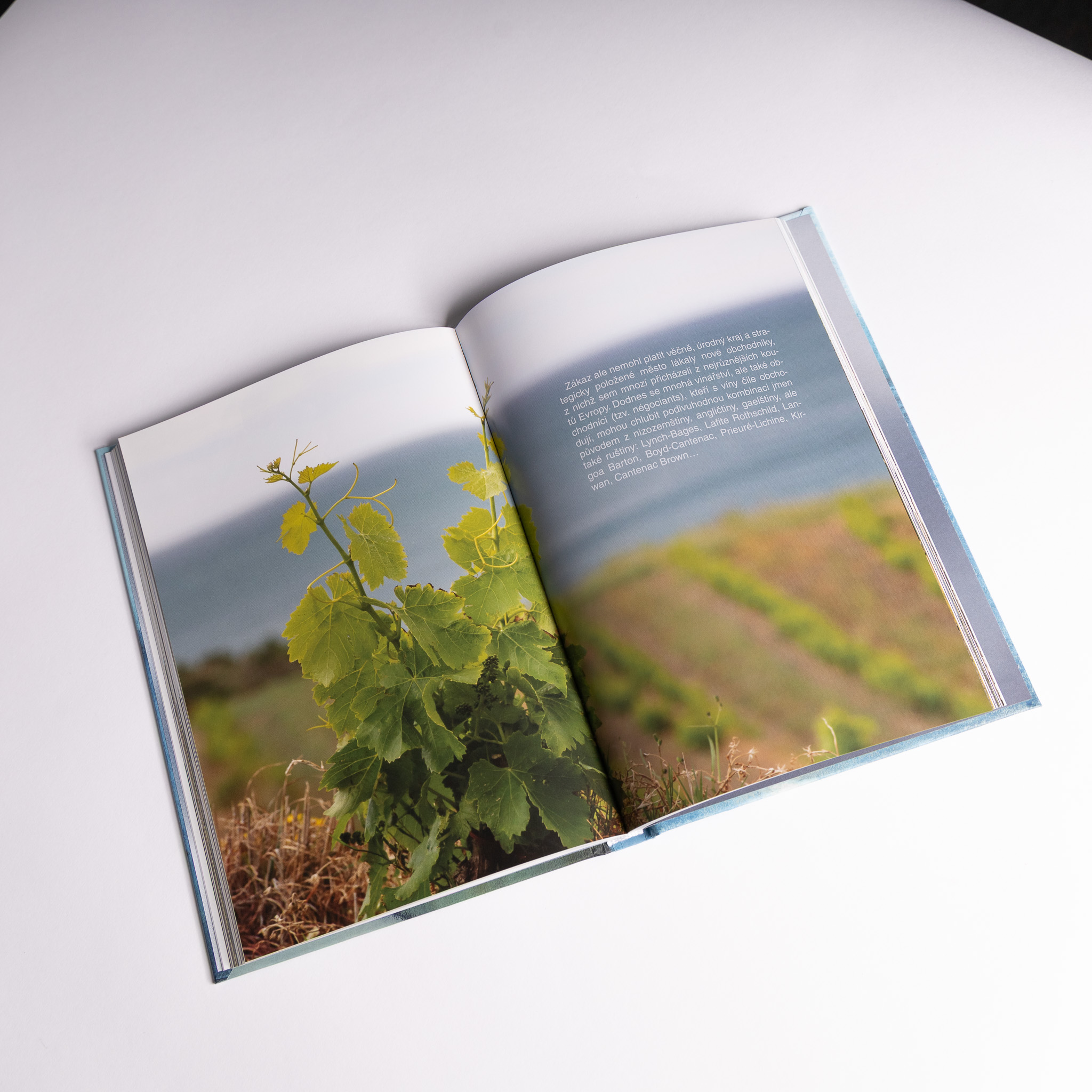 KNIHA Cesty po francouzských vinicích